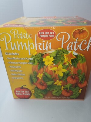 Pumpkin Patch Kit Grow Your Own Petite Pumpkin Patch Planter and Kit