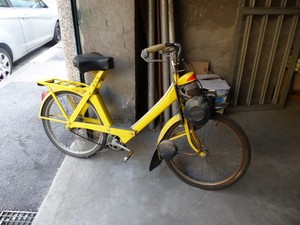 solex jaune