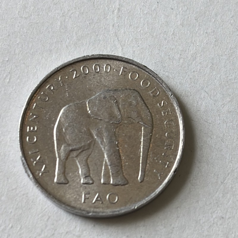2000 Somalia Coin-5 Shillings-Circulated
