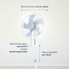 Bild 6 von 12