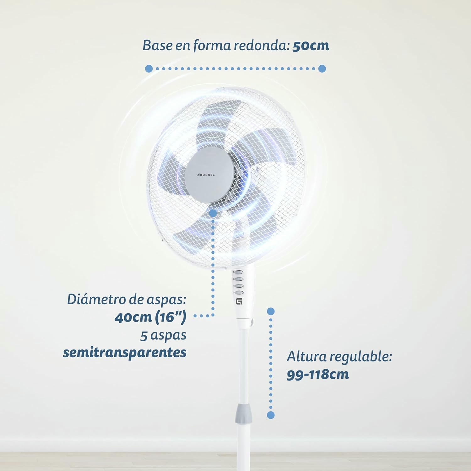 Foto 6 di 12