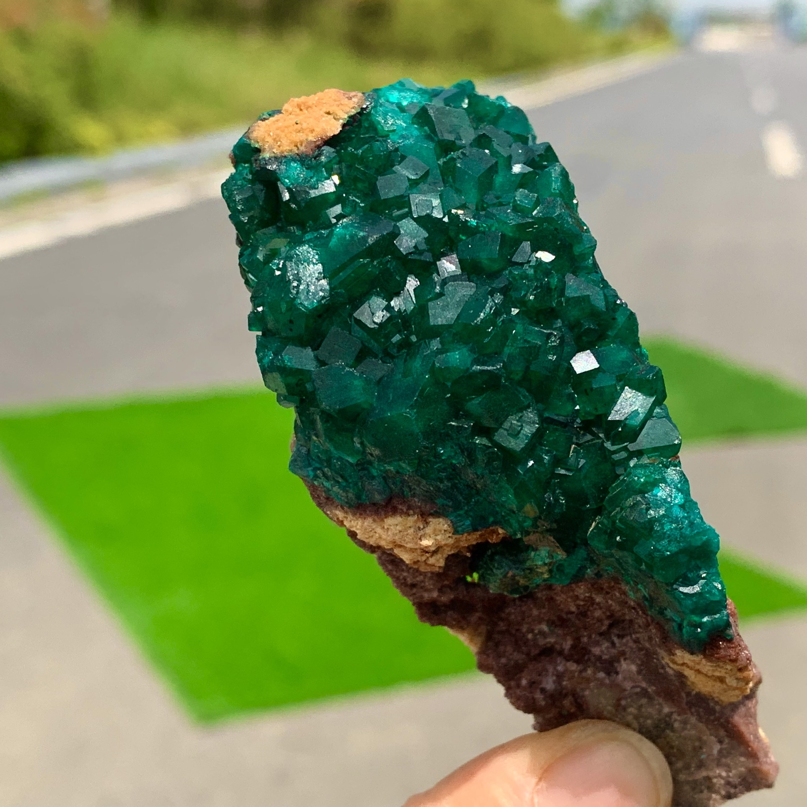 68G Natural Green Dioptase Emerandine Gemstone Cluster Mineral Specimen for Collectors