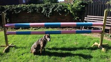 REITPFERD SPRUNGSTANGE H&Uuml;LLE ABDECKUNGEN, X 2, PINK & HELLBLAU, STARK, 3MT,