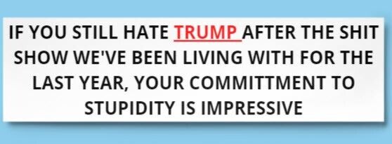 2 Stickers Commitment to Stupidity 8" x 3" Trump 2024 MAGA Bumper Window Decal