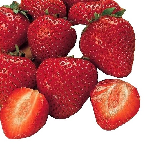 The Clean Teeth Pops, Tropical Fruit, Approx. 23-25 Pops