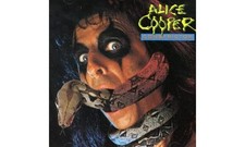 Constrictor