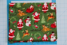 Riley Blake Designs Merry Bright on Green Christmas Reindeer Cotton Fabric