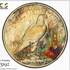 1923 Peace Silver Dollar PCGS CAC MS-66+ - INSANE RAINBOW TONER