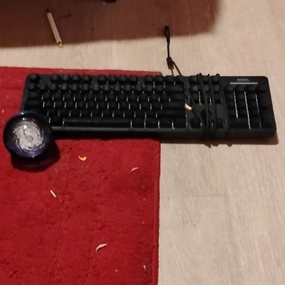 GEMBIRD Standard Wired Black QWERTY Keyboard Plastic for PC Desktop Computer