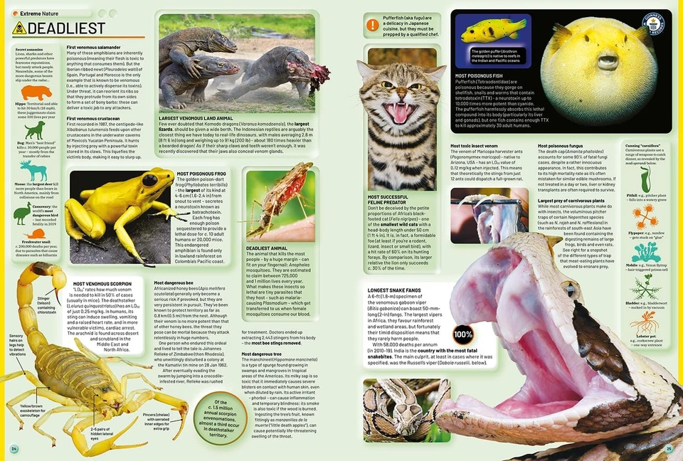 Guinness World Records 2026 Hardcover – 26 Aug. 2025 - Image 4 of 4