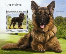 DOGS (English Cocker Spaniel & German Shepherd) Dog MNH Stamp Sheet (2022 Togo)