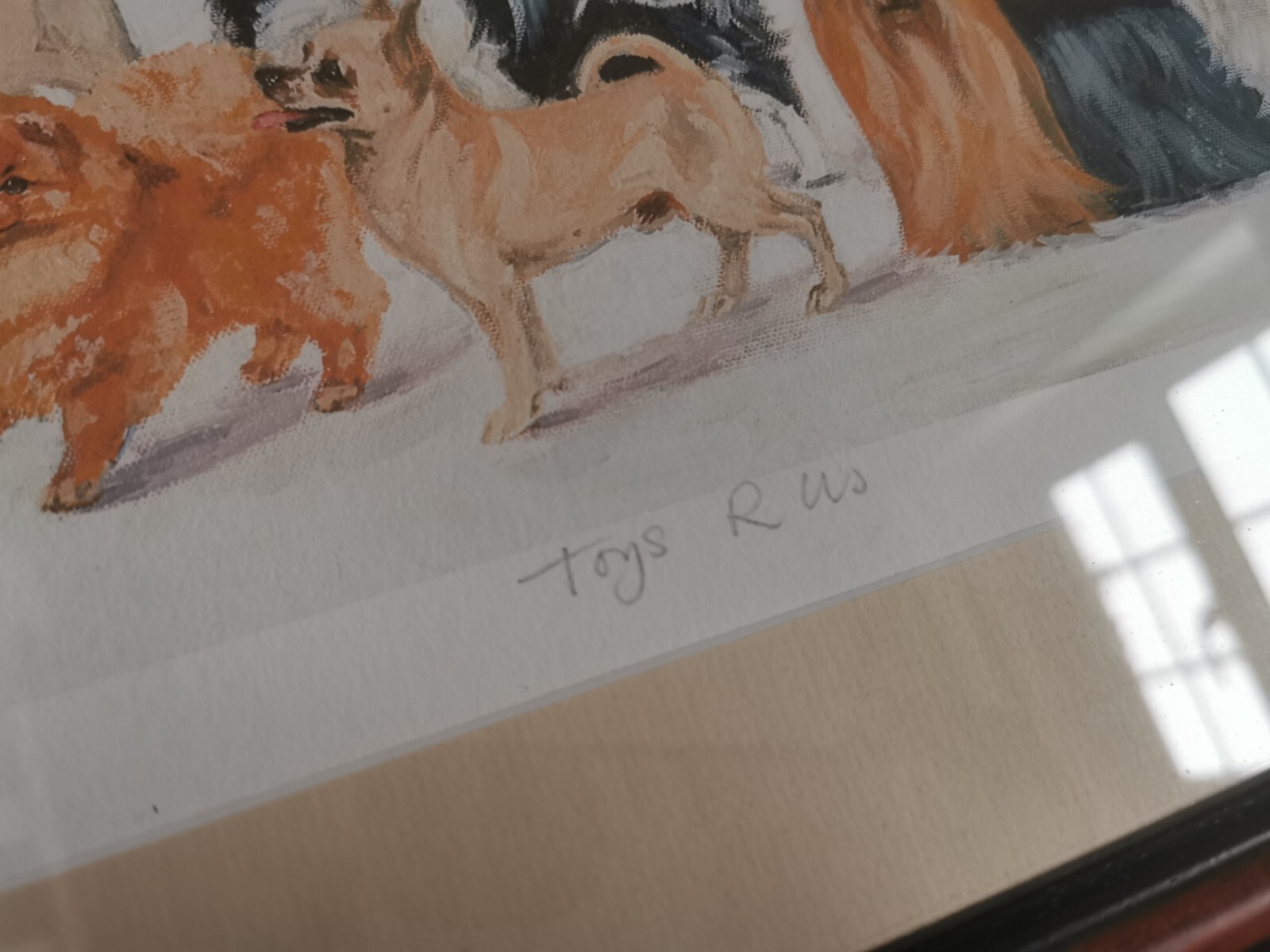 Bild 10 von 15