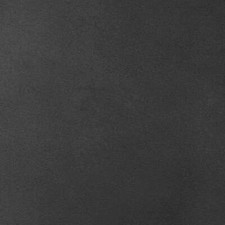 Morceau de croûte de cuir