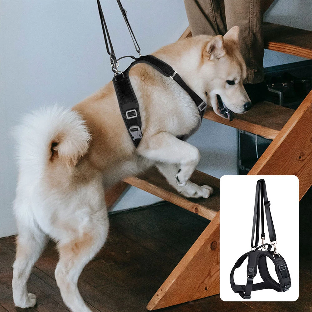 Portable Dog Support Harness and Leash for Small Large Dogs Front