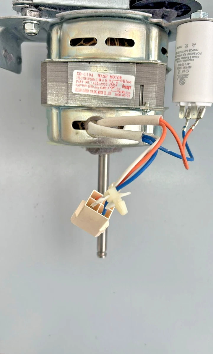 2 Pezzi Spazzole Carbone Per Motore Elettrico Lavatrice 5 X 13,5 X 30 Mm 49018683 92126721 Per Candy Garanzia Di 10 Anni - MONTERAL - Foto 7