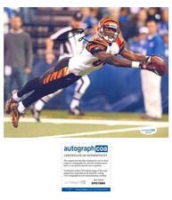 Chad 'Ochocinco' Johnson Autographed Signed Cincinnati Bengals 8x10 Photo ACOA
