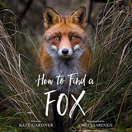 How to Find a Fox by Kate Gardner NEW Free UK Delivery - Image 3