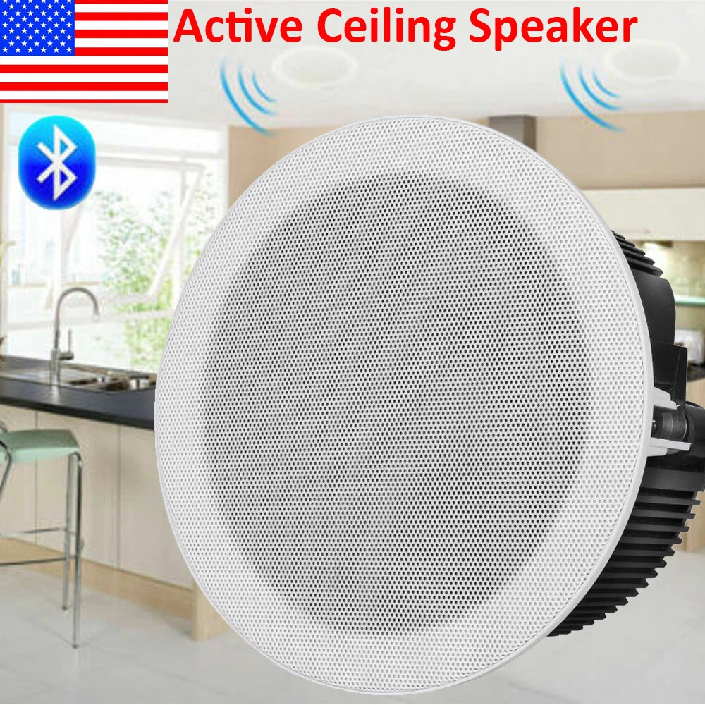 Ceiling speakers with built in amplifier sales