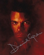 DANIEL GILLIES signed autograph 20x25cm VAMPIRE DIARIES in person autograph COA