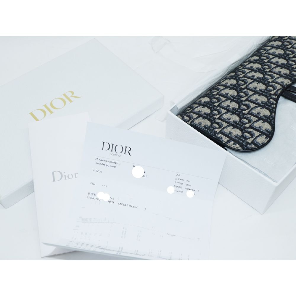Dior Popular Saddle Chain Pouch Crossbody Bag WOC S5620CTZQ Dior Popular Saddle Chain Pouch Crossbody Bag WOC S5620CTZQ
