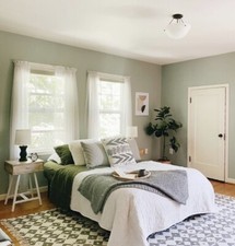 LIGHT SAGE GREEN 10 LITRE ONECOAT SILK Hardwearing Washable Interior Paint