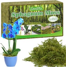 Long Fiber Green Sphagnum Moss 1.1 LB for Terrariums Planters and Potting Mix