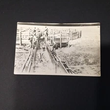 RPPC Cowboys Cattle Roundup-Posted Montana