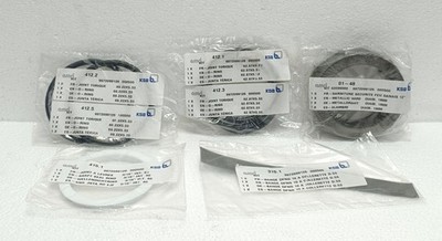 KSB Amri 9972099126 000500 Schmetterling Ventil Reparatur Dichtungssatz 12 '' Neu