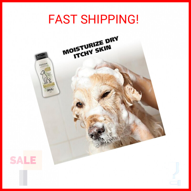 Wahl Waterless Foam Shampoo For Dogs Wahl Dry Skin Itch Relief Pet