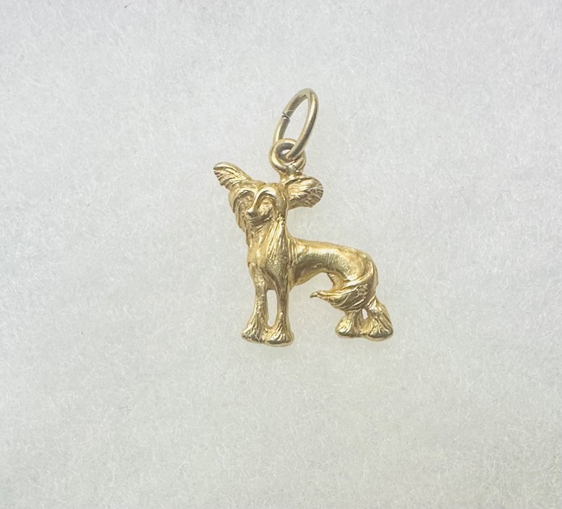 14k gold groomed Yorkie Yorkshire Terrier dog pendant charm