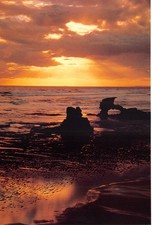 POST OFFICE OF THE WORLD POSTCARDS AUSTRALIA BEACH RG SIZE UNUSED MINT