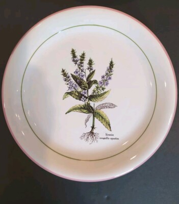 Primula Decorata A Mano Botanical Flowers 10.25'' Plates Set Of 6 Stunning!