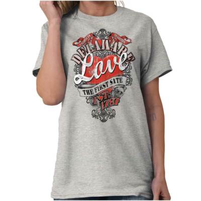 Delaware The First State Fashion Souvenir Womens Short Sleeve Crewneck Tee