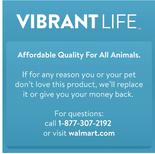 Vibrant Life Cozy Buddy Floppy Dog Toy, Chew Level 1 - Picture 5 of 5
