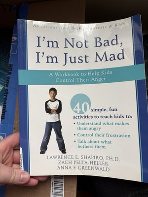 I'm Not Bad, I'm Just Mad Shapiro Paperback Workbook Instant Help Books