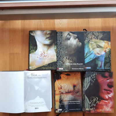 Biss-Reihe Band 1-5, 7. Twilight Saga & Seelen (Stephenie Meyer)