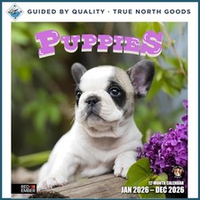2026 Wall Calendar Featuring Adorable Puppies, Thick Paper  Large Daily Blocks