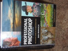 Professional Photoshop: The Classic Guide to Color Correction