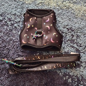 Whisker City Kitten Cat Vest Harness & Leash Black Moon XS