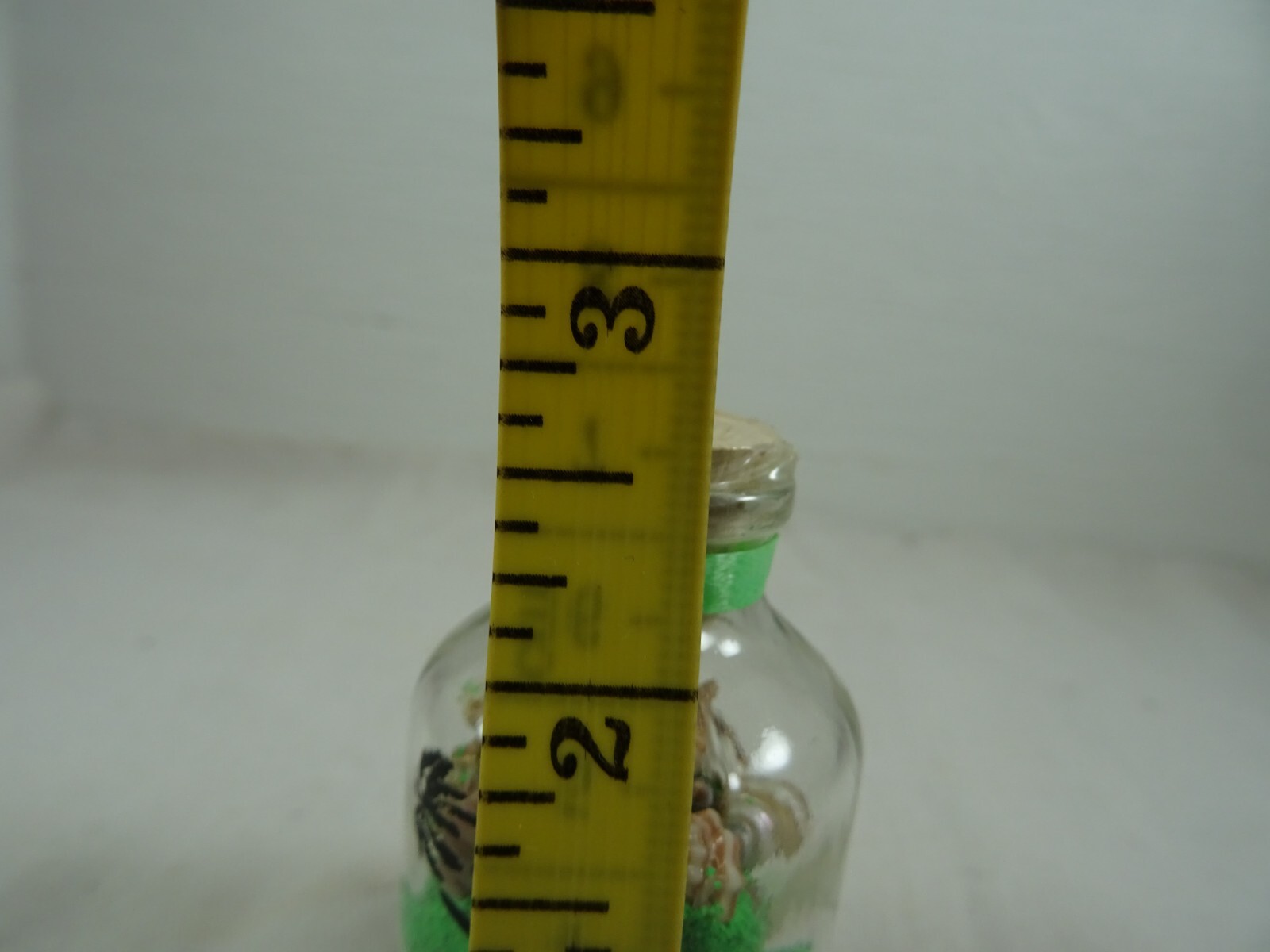 Picture 7 of 7