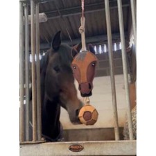 Ruggles Horse Stable Toy -Boredom buster for horse pony donkey (Horse Head)