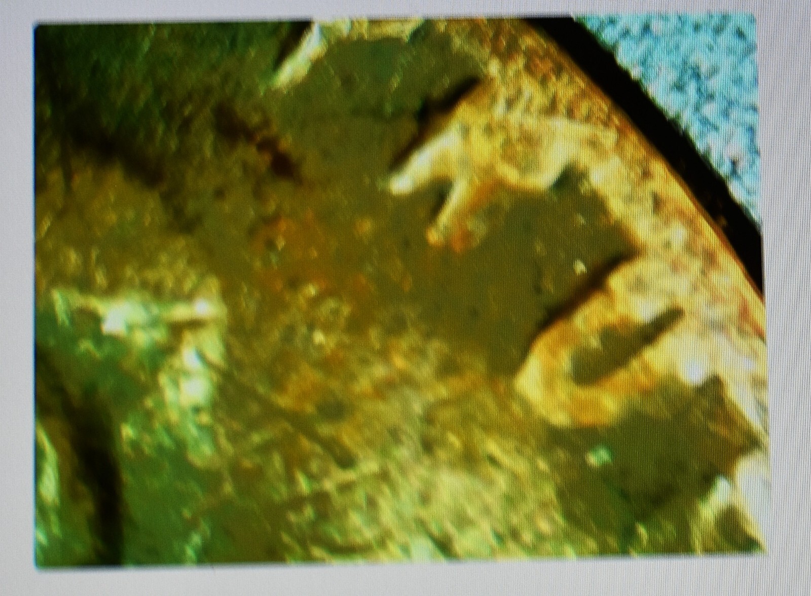 Picture 11 of 23