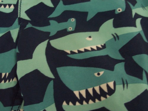 Boys Size Medium 8 - 9 GAP Kids Sharks 2 Piece Bathing Swim Suit EUC - Picture 6 of 7