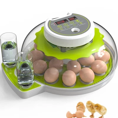 DETODDA Brutmaschine vollautomatisch 18 Eier mit LED Eierlampe Grün - Bild 1 von 4
