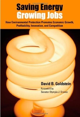 Saving Energy, Growing Jobs : How Environmental Protection Promot