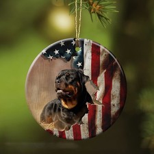 Rottweiler Awesome Rottweiler and the US Flag Circle Ornament