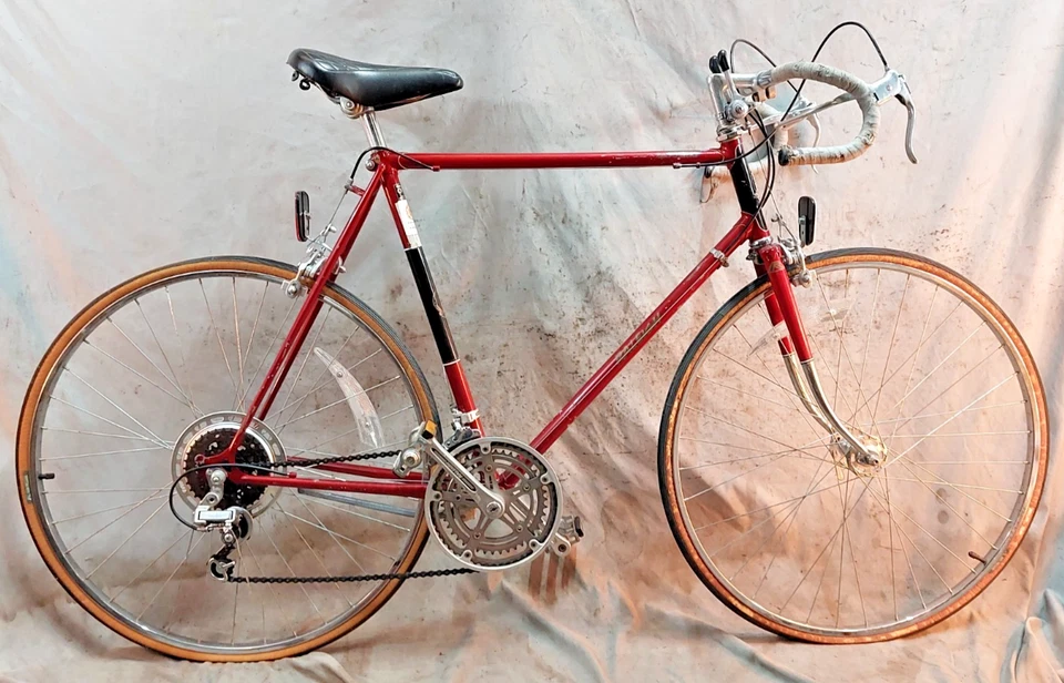 1984 Raleigh Super Record Touring Rennrad 60cm Large Lugged Butted Steel 12SPD