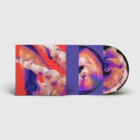 Isles (Picture Disc) | Bicep | Vinyl / Schallplatte | 2021 | Ninja Tune