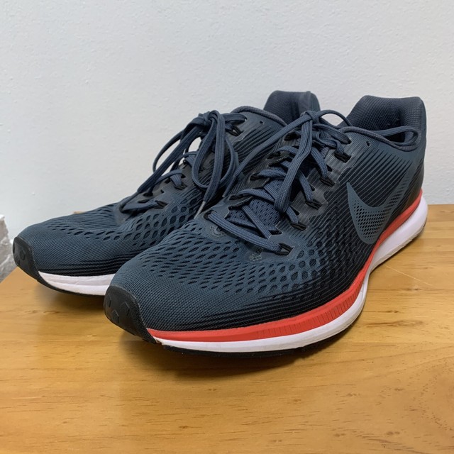 zoom pegasus 34 blue fox