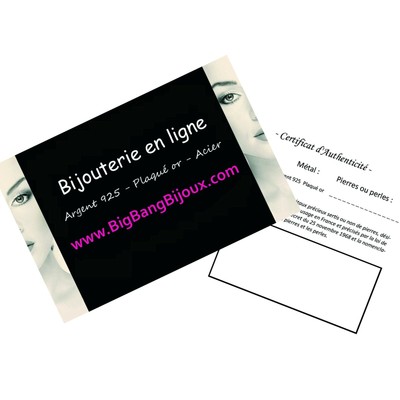 ACHETER BROCHE PLAQUE OR 750/000 ET OXYDES DE ZIRCONIUM - FEMME